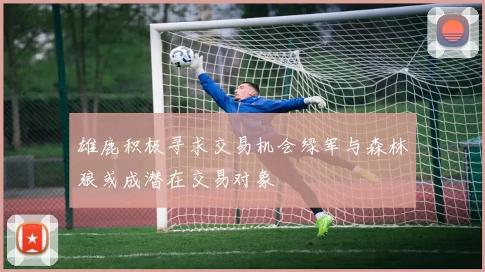雄鹿积极寻求交易机会绿军与森林狼或成潜在交易对象